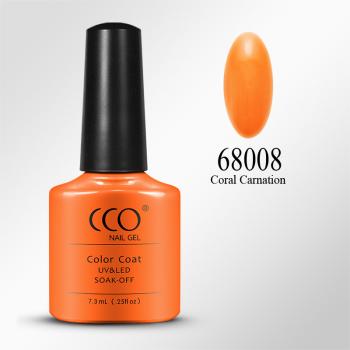 Coral Carnation